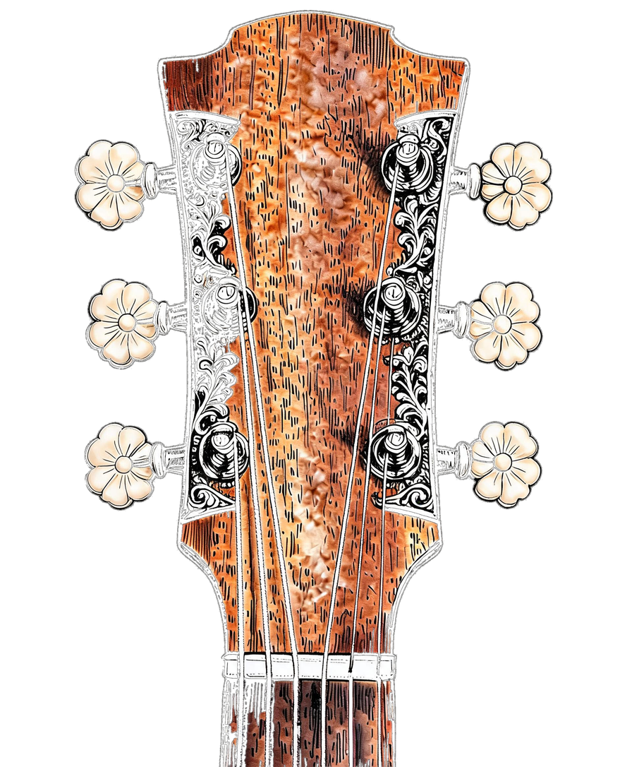Acoustic guitar headstock